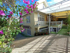 Lucid Dream Villa Homestay